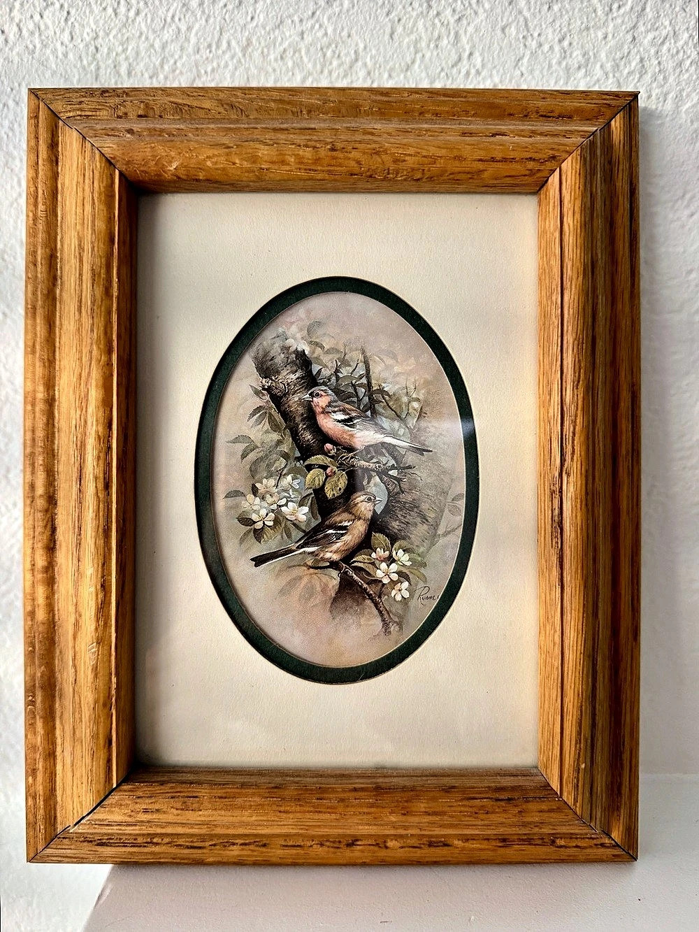 Vintage Framed Chaffinch Bird Art Print by Ruane Manning | Solid Wood Frame & Ov